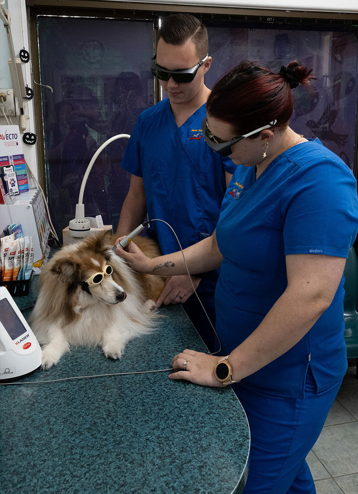 Menai Animal Hospital - Specialised Equipment - Laser