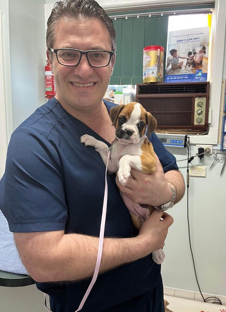 Menai Animal Hospital - Meet Our Team - Dr Edmond Bechara