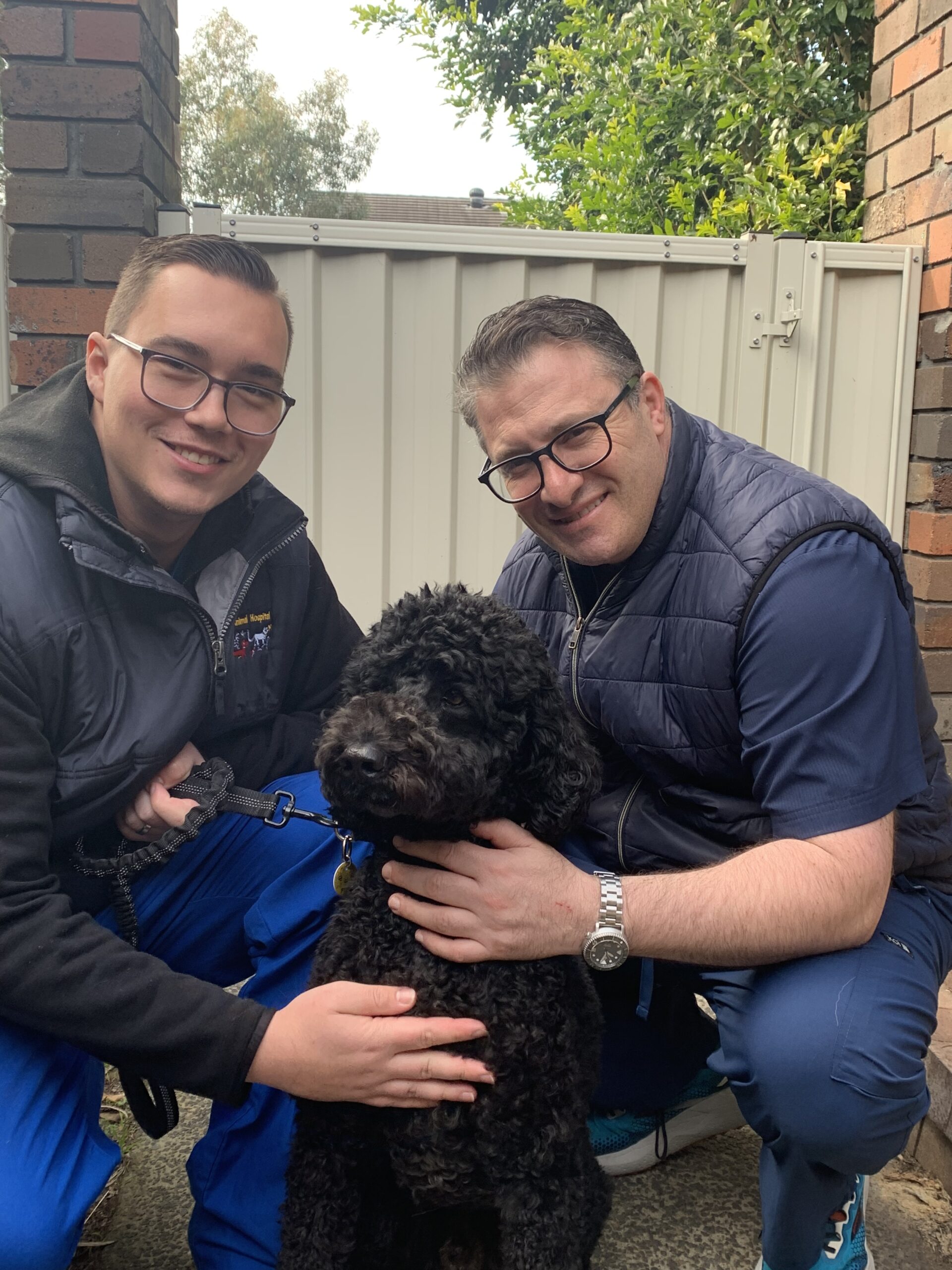 Menai Animal Hospital - More than just a vet!